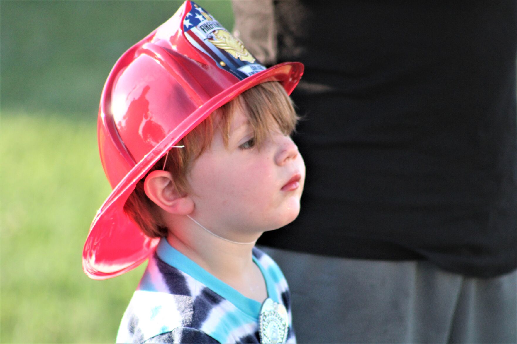 Carlisle and North Middleton National Night Out 15